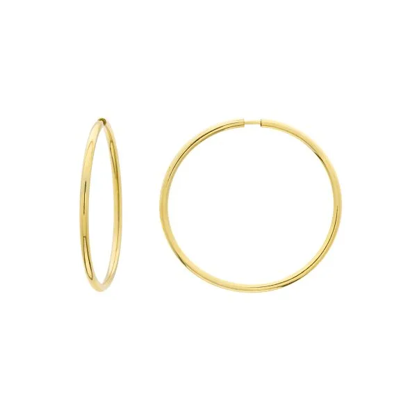 Vida srebrne naušnice