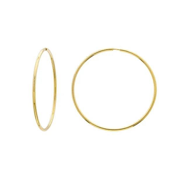 Wallis srebrne naušnice