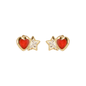 Bayonne naušnice od pozlaćenog čelika